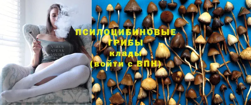 Галлюциногенные грибы Cubensis  Артёмовск 