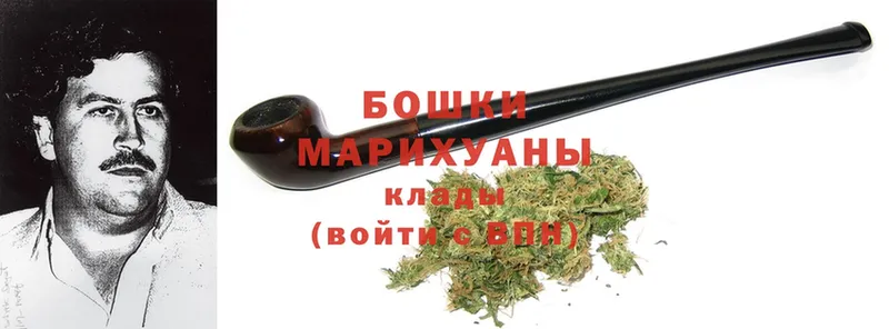 Шишки марихуана White Widow  Артёмовск 